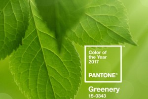 Pantone colour of the year greenery